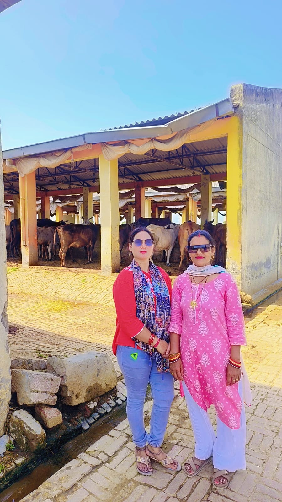 Gau Seva